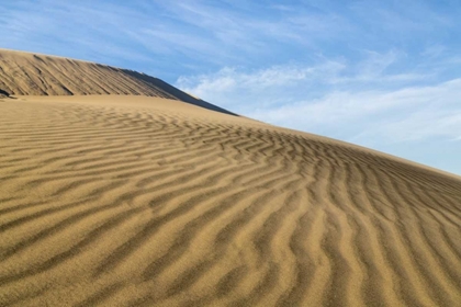 Picture of CA, MOHAVE NATIONAL PRESERVE RIPPLED SAND DUNES