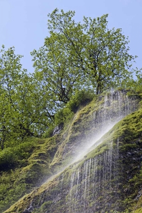 Picture of OR, COLUMBIA GORGE WATERFALL FLOWING FROM CLIFF