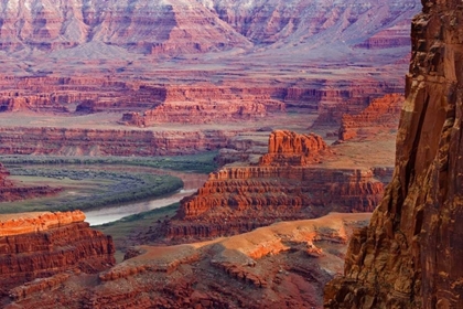 Picture of UT, DEAD HORSE POINT VIEW OF THE COLORADO RIVER