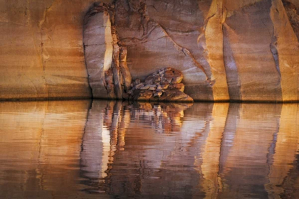 Picture of UT, GLEN CANYON ABSTRACT STAINED SANDSTONE WALL