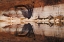 Picture of UT, GLEN CANYON ABSTRACT STAINED SANDSTONE WALL