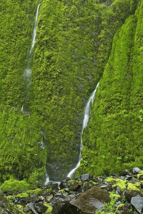 Picture of OR, COLUMBIA GORGE ELOWAH FALLS TRAIL WATERFALL