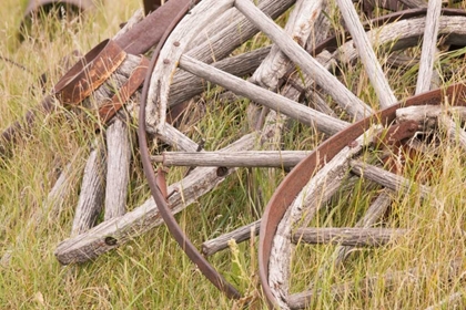 Picture of CANADA, BC, FORT STEELE WAGON WHEELS IN GRASS
