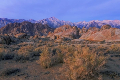 Picture of CA, ALABAMA HILLS LONE PINE PEAK AND MT WHITNEY