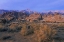 Picture of CA, ALABAMA HILLS LONE PINE PEAK AND MT WHITNEY