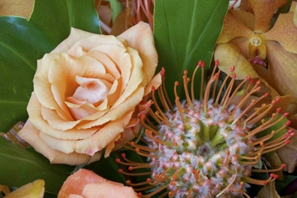 Picture of FLOWER ARRANGEMENT WITH ROSE, ORCHID, AND PROTEA
