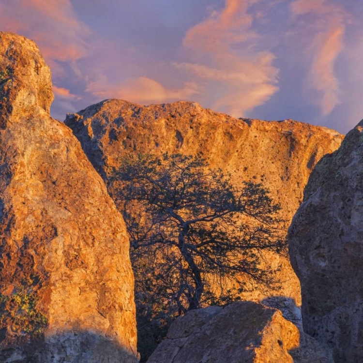 Picture of NEW MEXICO, CITY OF ROCKS SP SUNSET ON BOULDERS