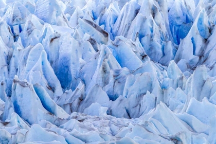 Picture of CHILE, PATAGONIA, TORRES DEL PAINE NP GLACIER