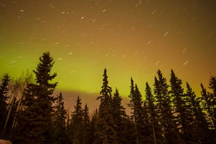 Picture of AK, FAIRBANKS AURORA BOREALIS AND STAR TRAILS