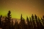 Picture of AK, FAIRBANKS AURORA BOREALIS AND STAR TRAILS