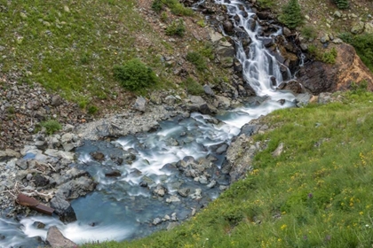 Picture of CO, SAN JUAN MTS ANIMAS RIVER DESCENDS A HILL