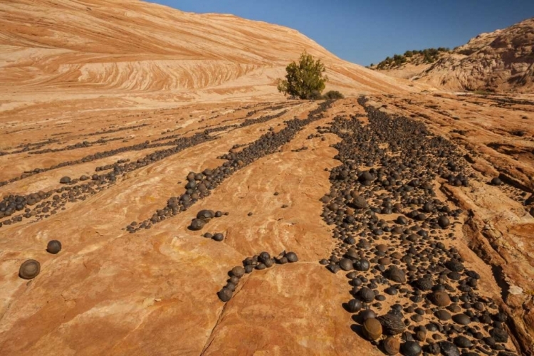 Picture of UT, GRAND STAIRCASE ESCALANTE NM MOKI MARBLES