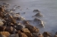Picture of LLANDUDNO BEACH AT SUNSET, SOUTH AFRICA