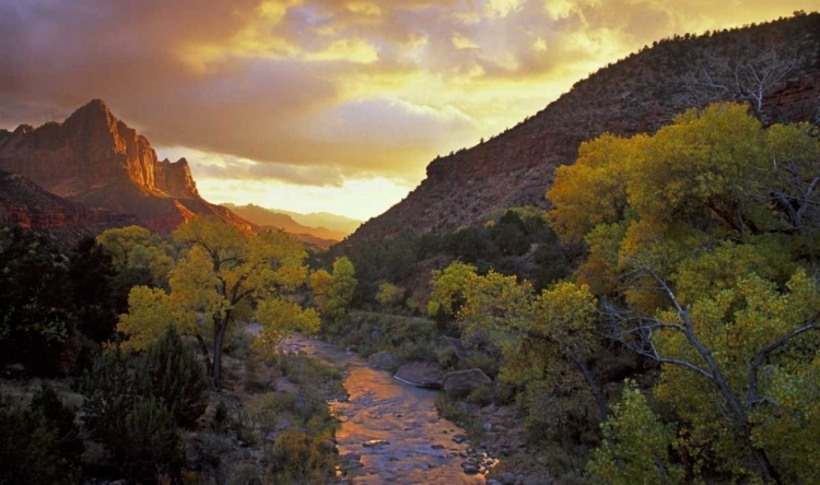 Picture of UT, ZION NP  CANYON LANDSCAPE AT SUNSET