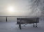 Picture of CANADA, OTTAWA FOG-SHROUDED WINTER SCENE