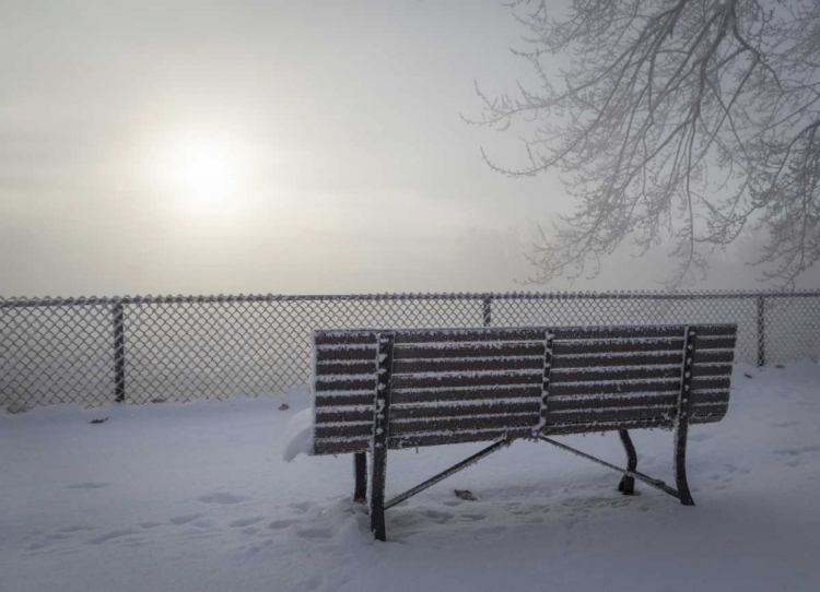 Picture of CANADA, OTTAWA FOG-SHROUDED WINTER SCENE