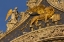 Picture of ITALY, VENICE LION ON SAN MARCO BASILICA