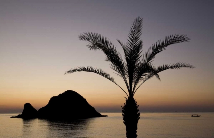 Picture of UAE, FUJAIRAH SNOOPY ISLAND AND PALM TREE
