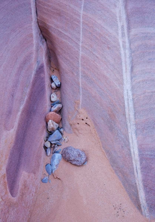 Picture of NEVADA, VALLEY OF FIRE SP ERODED ROCK