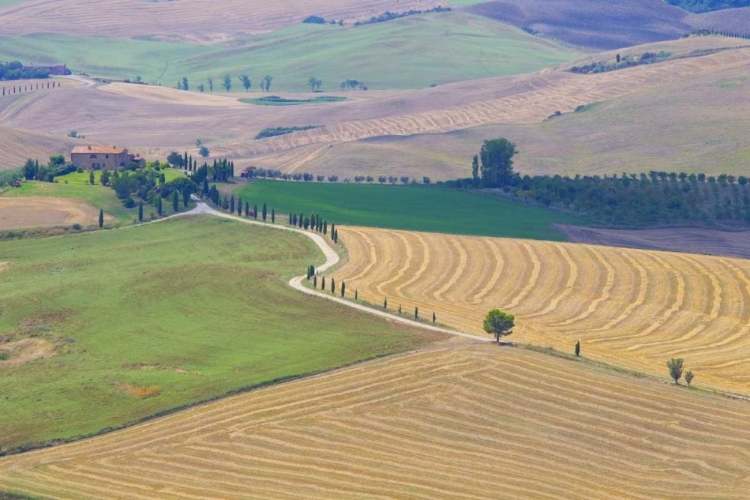 Picture of ITALY, TUSCANY, PIENZA TUSCAN LANDSCAPE