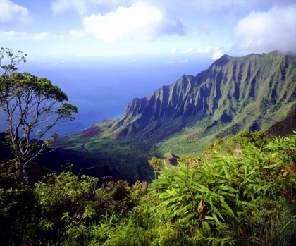 Picture of USA, KAUAI, HAWAII VIEW ABOVE THE NA PALI COAST