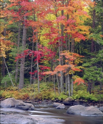 Picture of USA, NEW YORK, AUTUMN IN THE ADIRONDACK MOUNTAINS