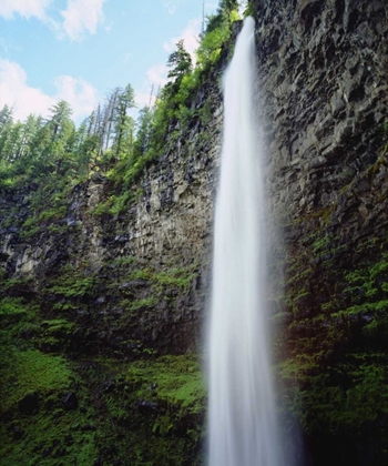 Picture of USA, OREGON, A WATERFALL IN AN OLD-GROWTH FOREST