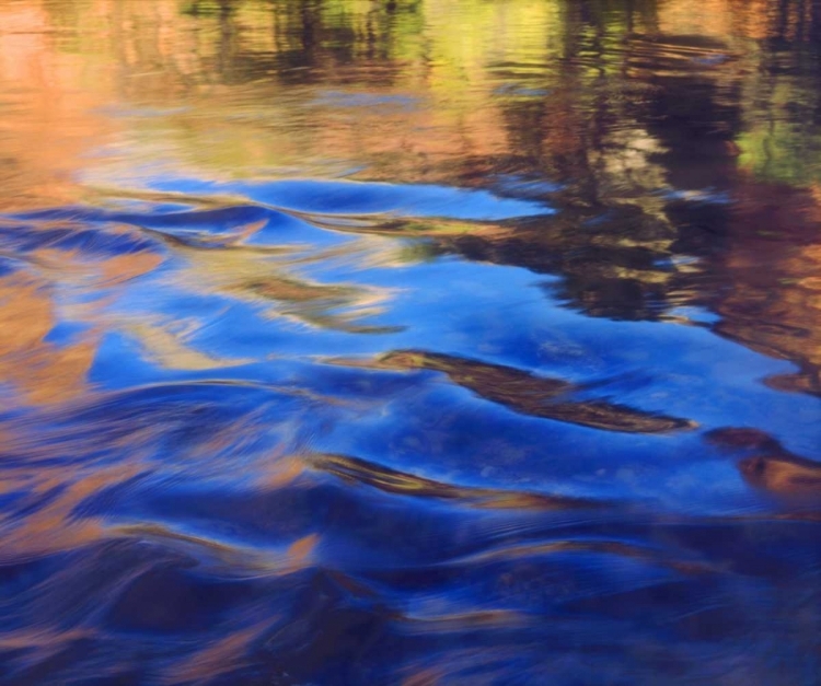 Picture of UTAH, ZION NP ABSTRACT VIEW OF THE VIRGIN RIVER