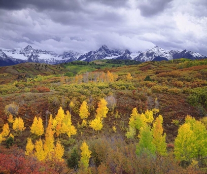 Picture of COLORADO, ROCKY MOUNTAINS, AUTUMN IN THE ROCKIES