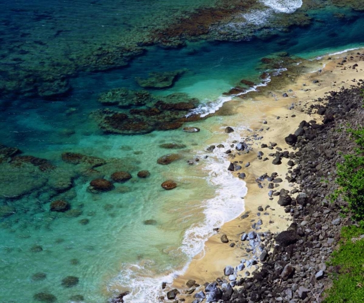 Picture of HAWAII, KAUAI A CORAL REEF ON THE NA PALI COAST