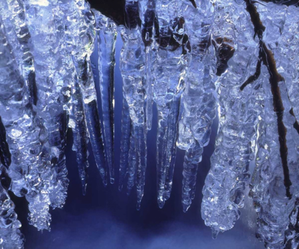 Picture of CALIFORNIA, SIERRA NEVADA, ICICLES IN THE SIERRA