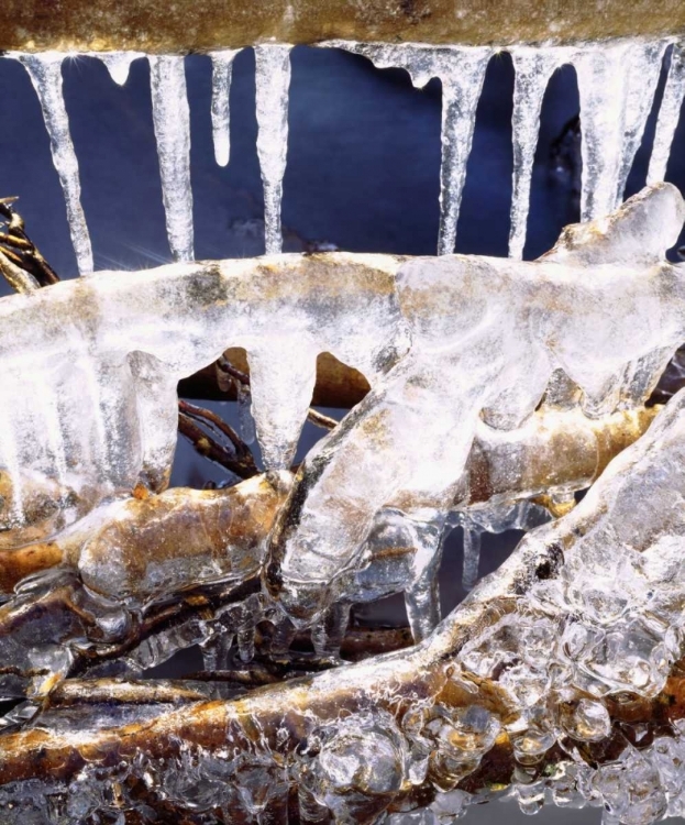 Picture of CALIFORNIA, SIERRA NEVADA, ICICLES IN THE SIERRA