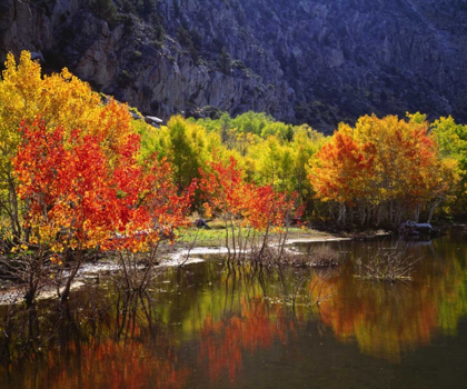 Picture of CALIFORNIA, SIERRA NEVADA AUTUMN IN THE SIERRAS