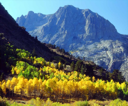 Picture of CALIFORNIA, SIERRA NEVADA AUTUMN IN THE SIERRAS