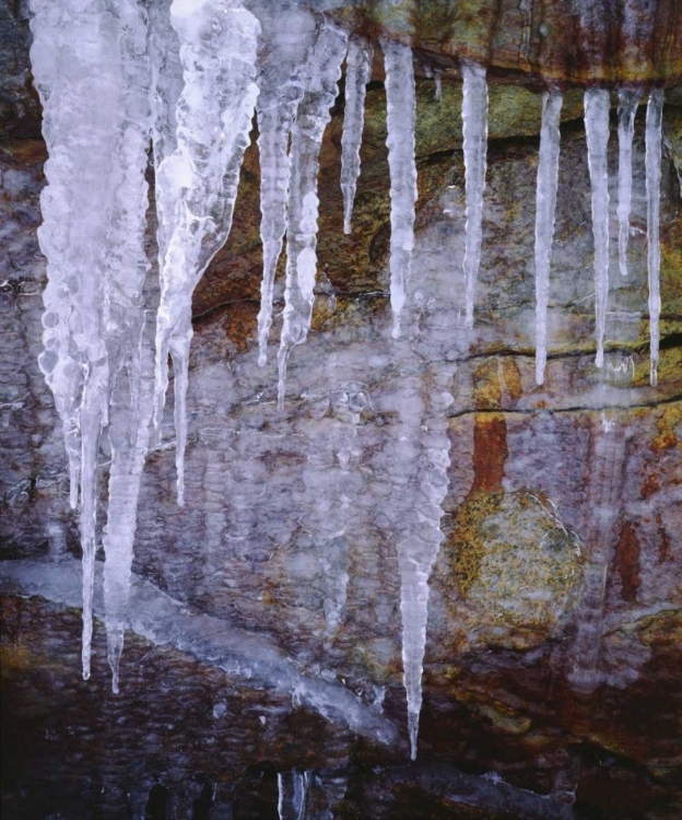 Picture of CALIFORNIA, SIERRA NEVADA ICICLES IN THE SIERRA