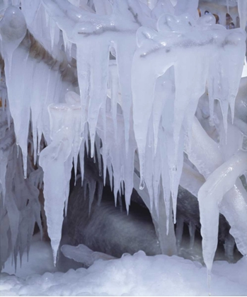 Picture of CALIFORNIA, SIERRA NEVADA ICICLES IN THE SIERRA