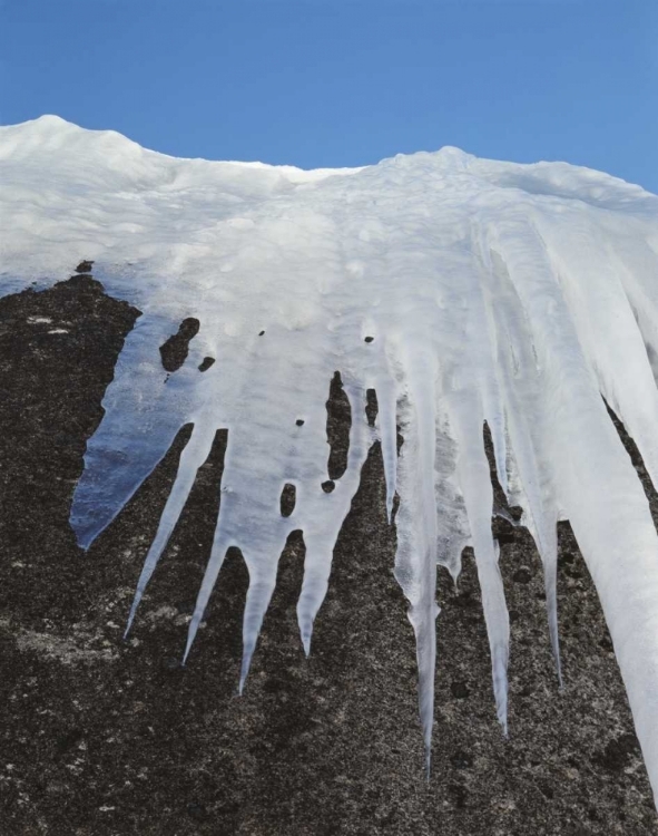 Picture of CALIFORNIA, SIERRA NEVADA ICICLES IN THE SIERRA