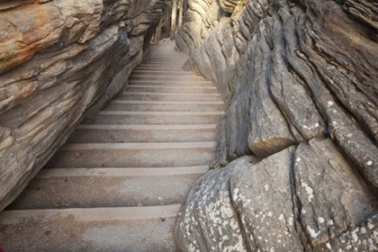 Picture of CANADA, ALBERTA, JASPER NP STAIRWAY ON TRAIL