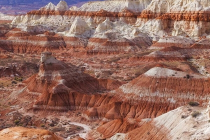 Picture of USA, ARIZONA A DESERT AREA CALLED TOAD STOOLS