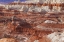 Picture of USA, ARIZONA A DESERT AREA CALLED TOAD STOOLS