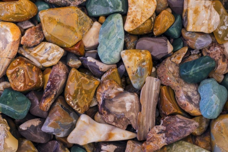 Picture of USA, ARIZONA, TUCSON DETAIL OF POLISHED ROCKS