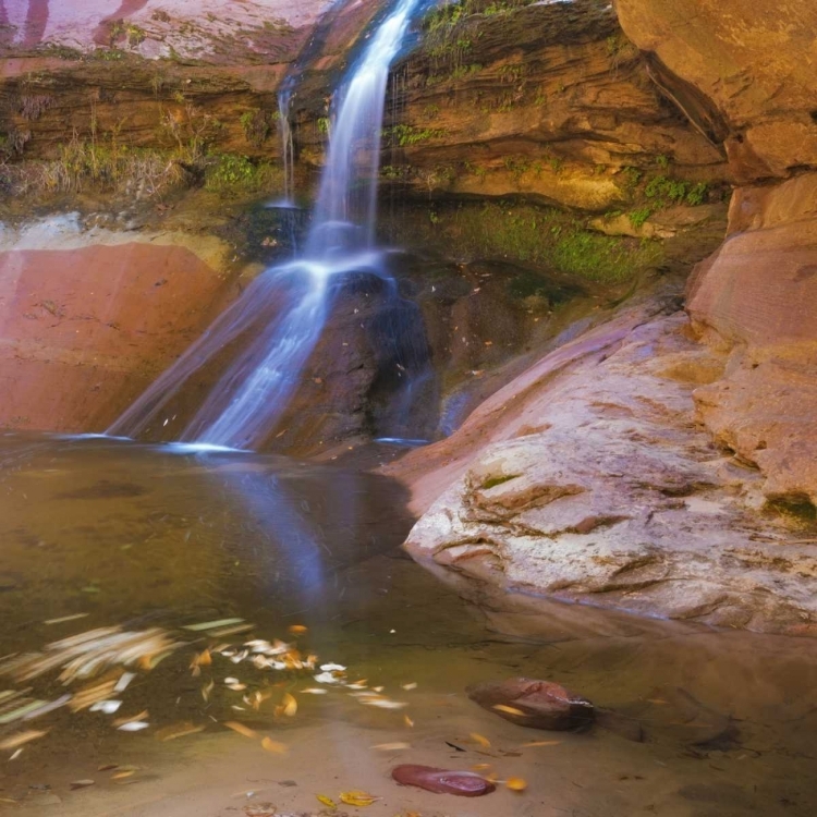 Picture of USA, UTAH, ZION NP SMALL WATERFALL FORMS POOL