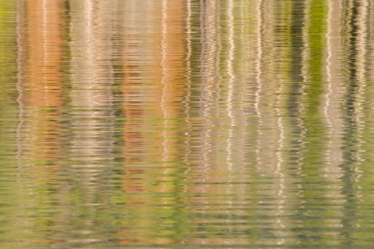 Picture of IDAHO FALL REFLECTIONS RIPPLE ON REDFISH LAKE