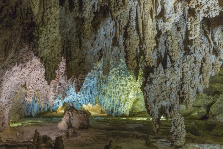 Picture of NEW MEXICO, CARLSBAD CAVERNS SCENIC OF CAVERN