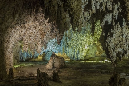 Picture of NEW MEXICO, CARLSBAD CAVERNS SCENIC OF CAVERN