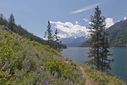 Picture of WASHINGTON, STEHEKIN LANDSCAPE OF LAKE CHELAN