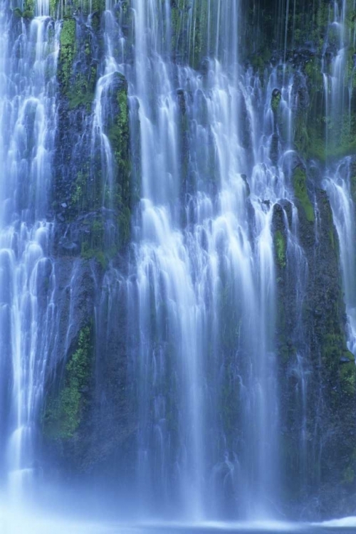 Picture of CA, MCARTHUR-BURNEY FALLS SP BURNEY FALLS