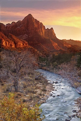 Picture of UT, ZION NP THE WATCHMAN AND VIRGIN RIVER