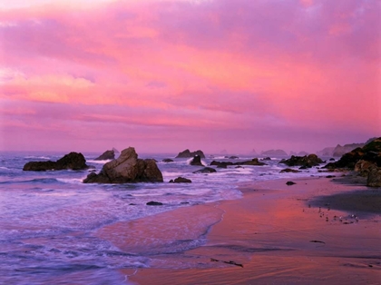 Picture of OR, HARRIS STATE BEACH SEA STACKS AT DAWN