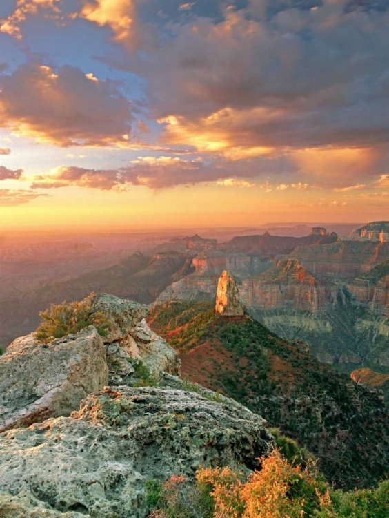 Picture of AZ, GRAND CANYON, POINT IMPERIAL AT SUNRISE